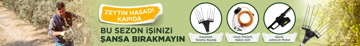 Sponsorlu reklam